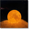 Moon Table Lamp